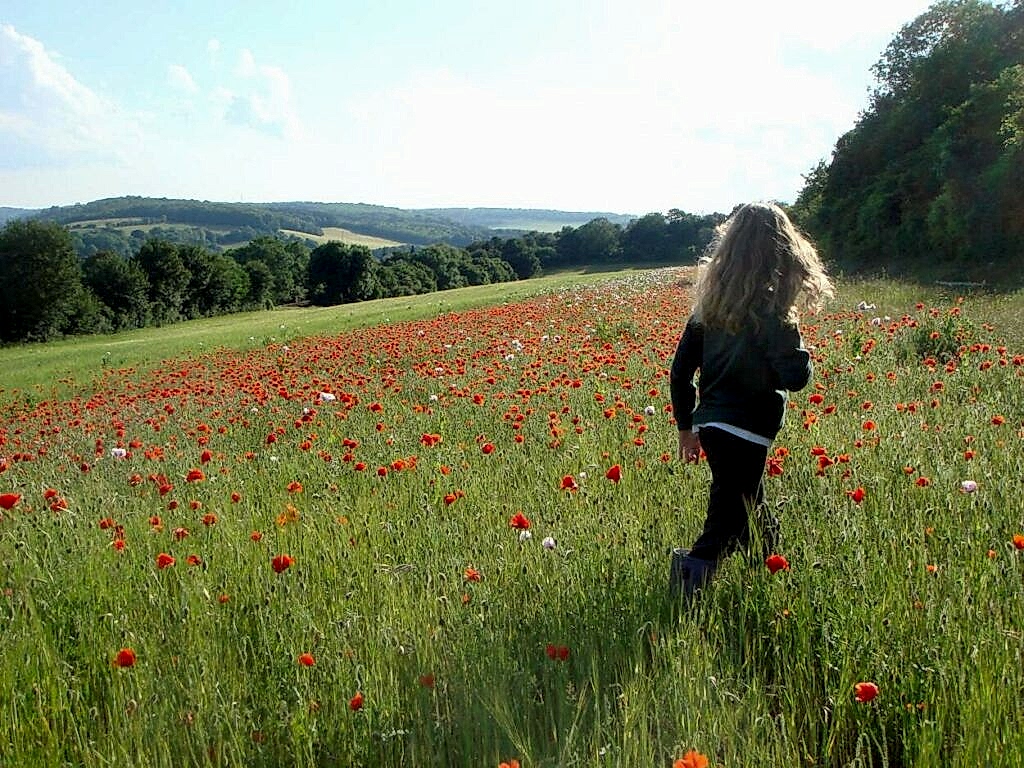 Young girl walking through a field full of red poppies.