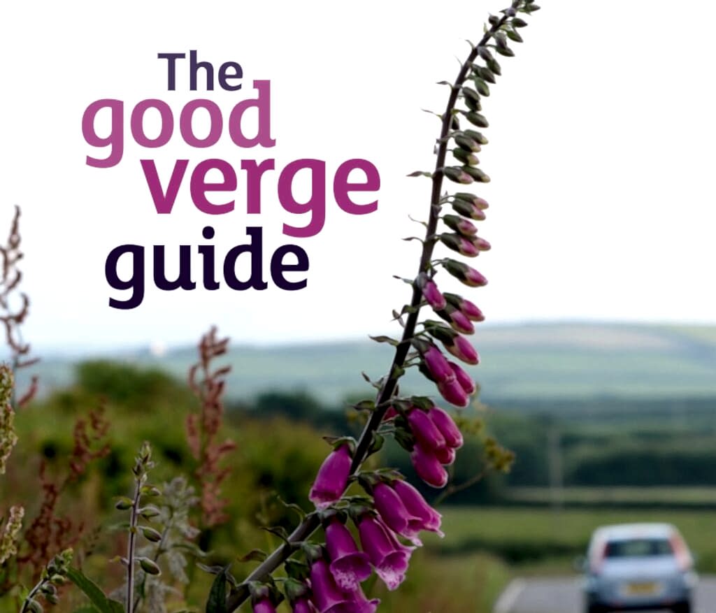 The Good Verge Guide front cover featuring a pink lupin and other flowers on the verge and a car driving away on the road