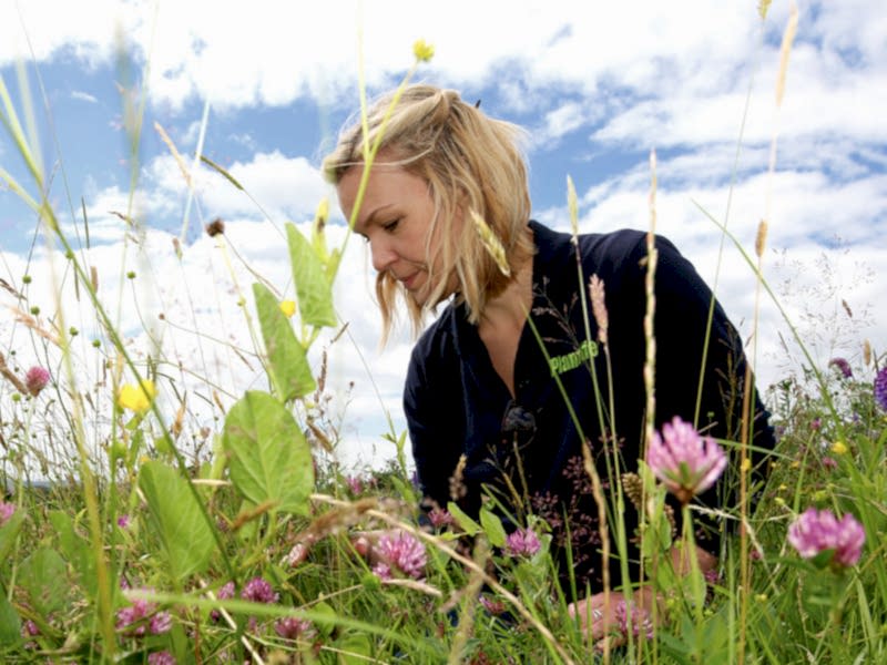 A woman monitoring plants in a meadow.