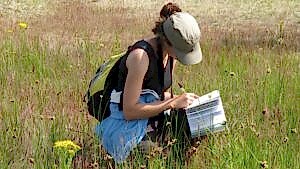 A person wearing a hat and backpack, squatting in a field of grass writing on a book