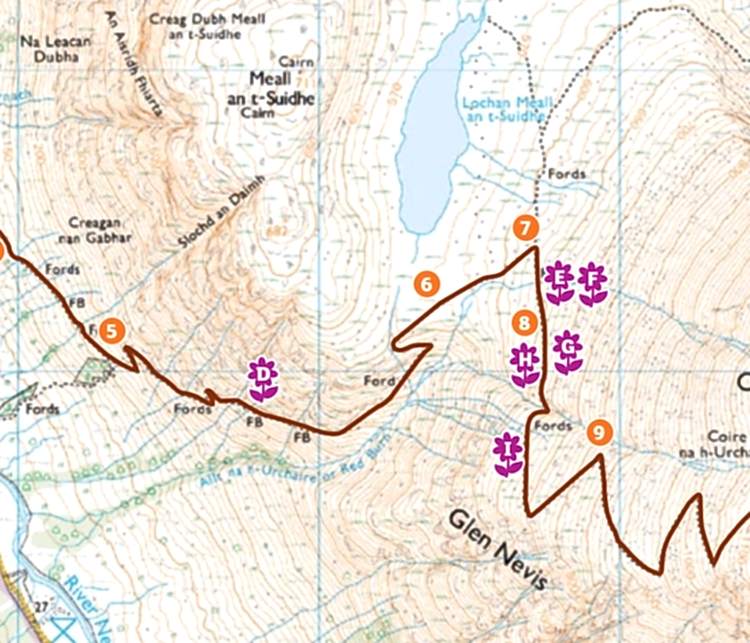 A part of the map for the wildflower walk in Ben Nevis, Scotland.