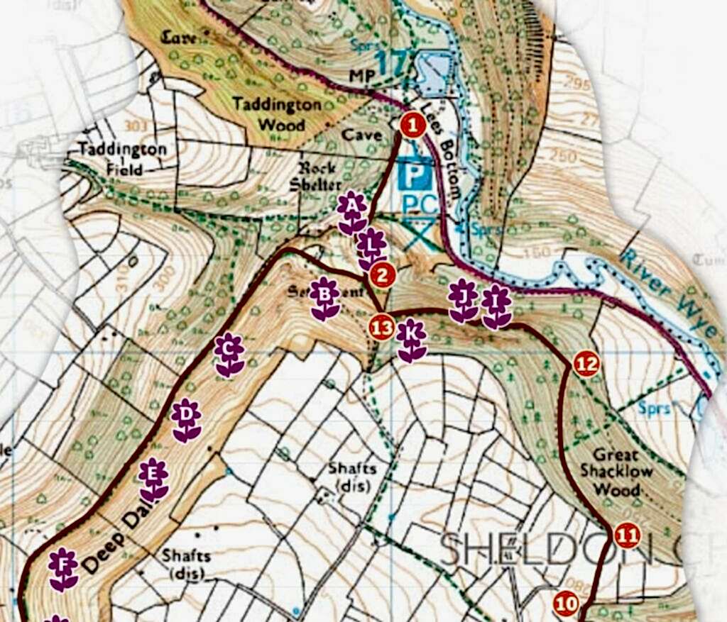 A part of the map for the wildflower walk in Peak District.