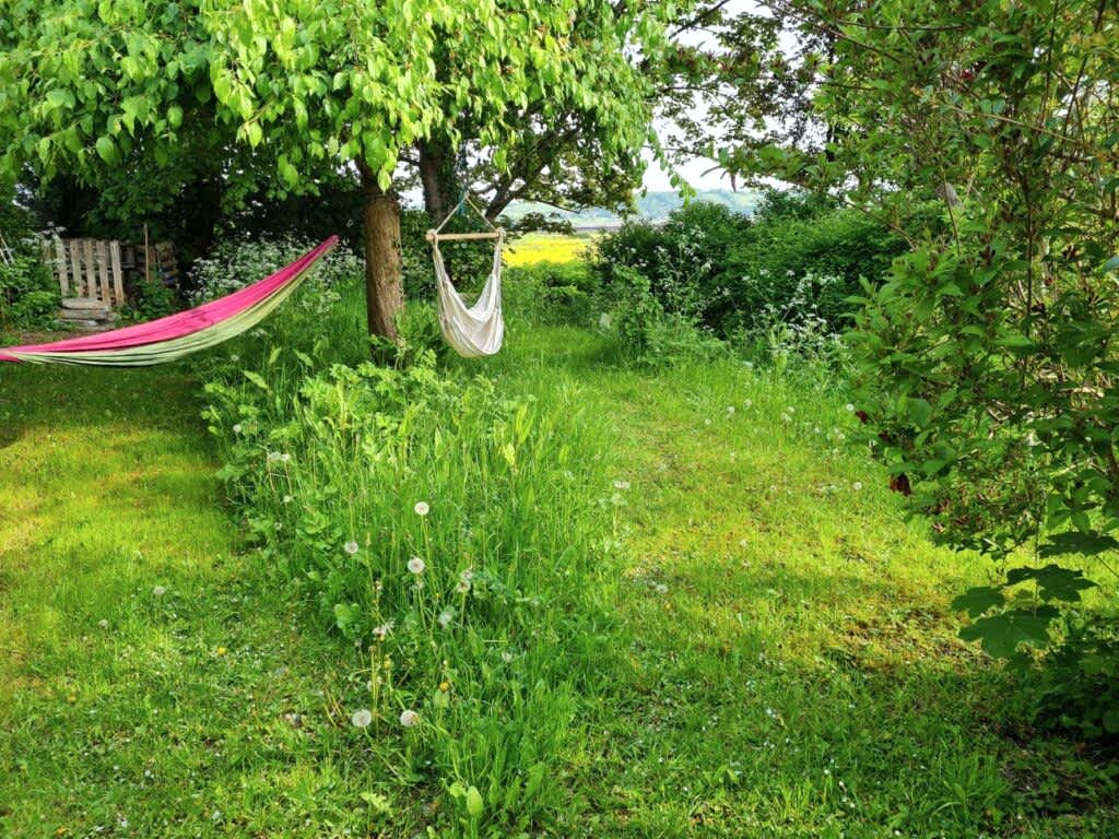 A garden with long grass and mown paths with hammocks hanging from trees