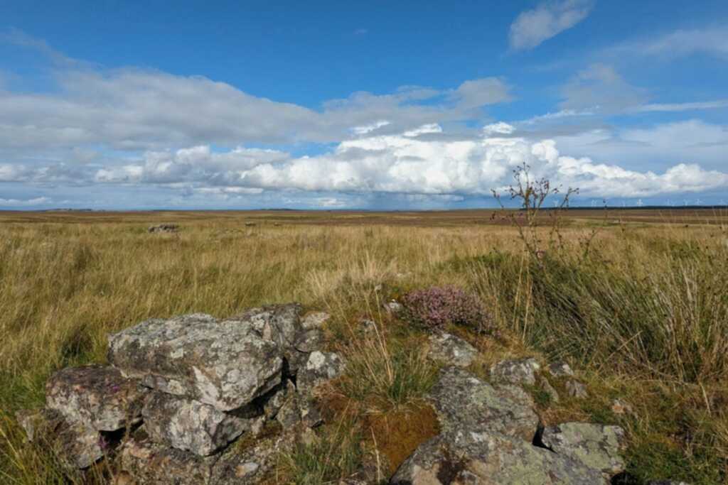 View across Munsary Peatlands,