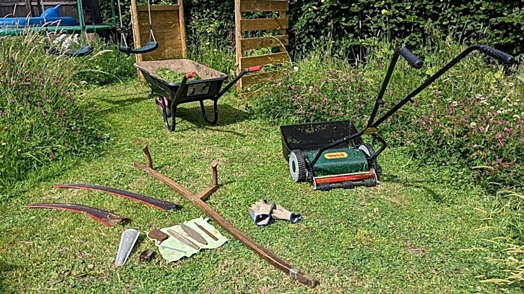 A mown lawn with tools used for cutting grass, surrounded by a flowering tall grass border