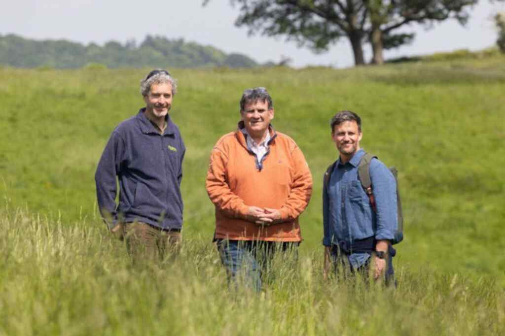 Three person standing on a field of grass