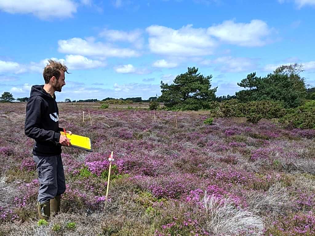 A person holding paper and pencil surveying the habitat for NPMS with a