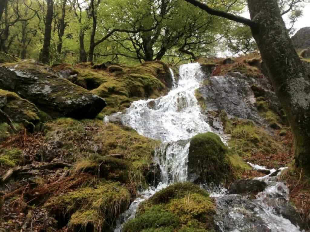 A waterfall flowing through a woodland