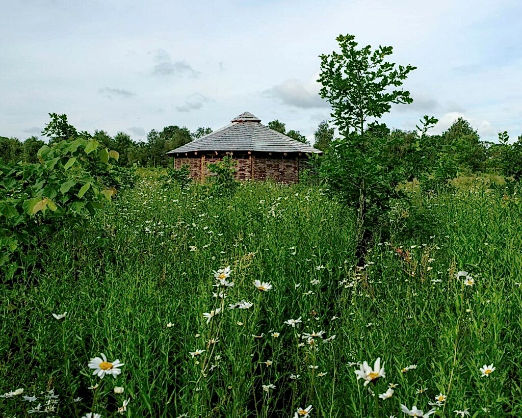 A roundhouse surrounded by wildflower meadow and small trees