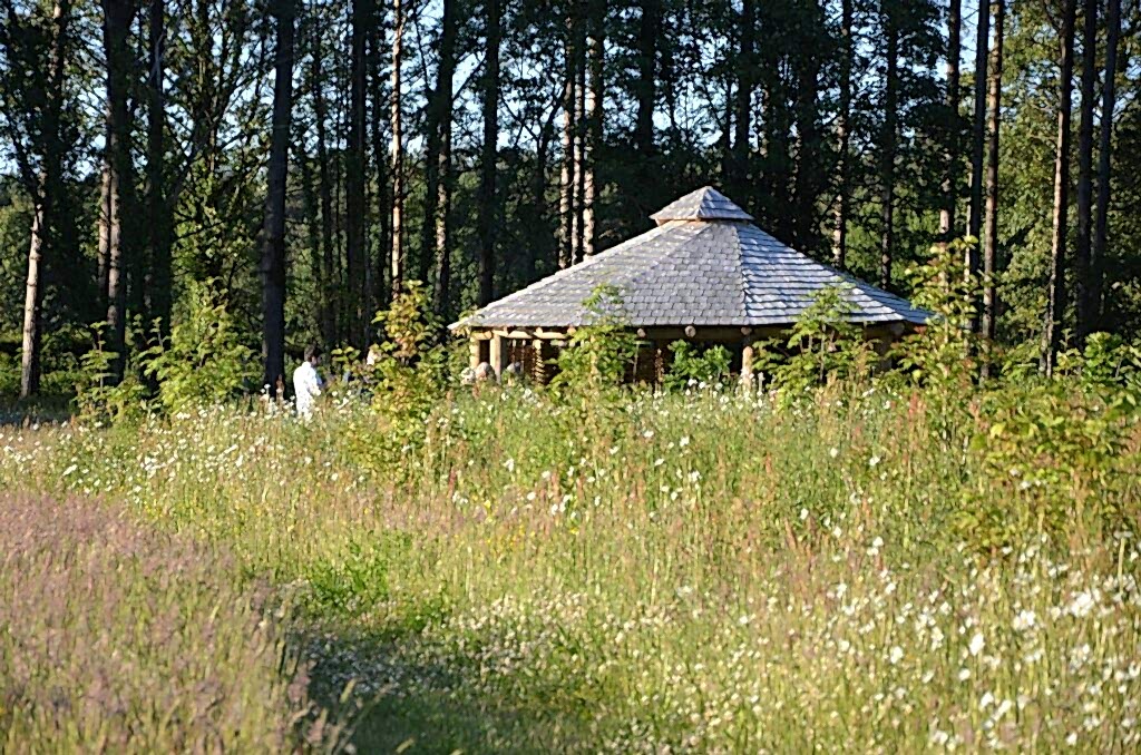 A building sits in a backdrop of tall meadow flowers and plants, with trees in the background