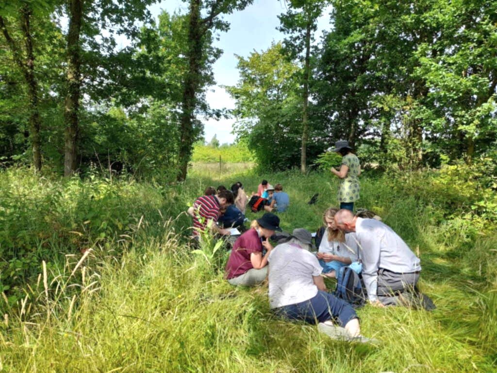 A group of people sit on the forest floor in a clearing in the trees. It is a sunny day and the blue sky can be seen through the leaves.