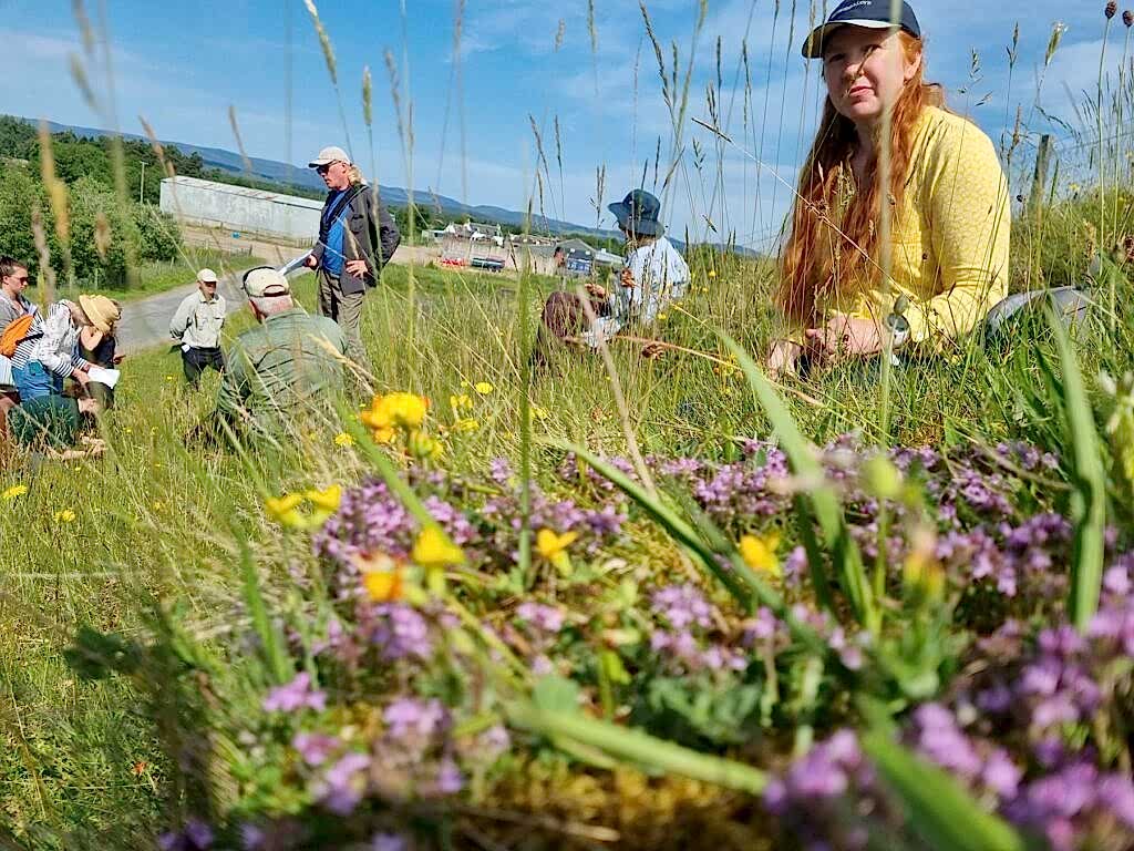 People gathered in a meadow learning how to ID wildflowers