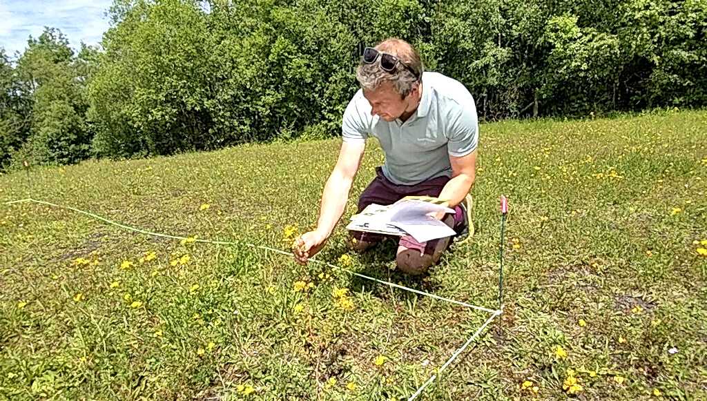 A man kneeling in a field holding a clipboard with papers investigated a quadrant marked in the grass