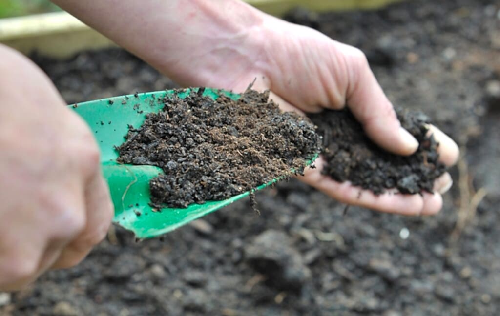 A close up of a gardener holding a trowel and compost
