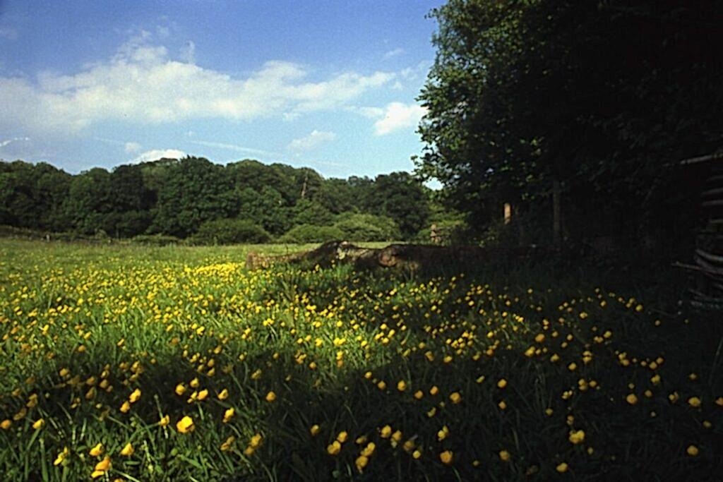 Looking out over Furnace Meadow and Brick Kiln Rough