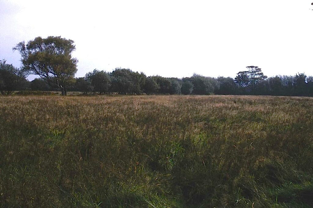 Moaney and Crawyns meadows