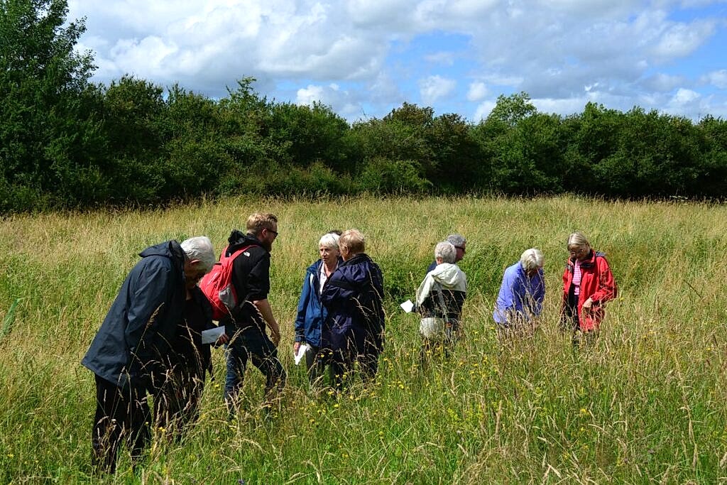 A group of people gathered in a meadow during an open day at Stockwood Meadows