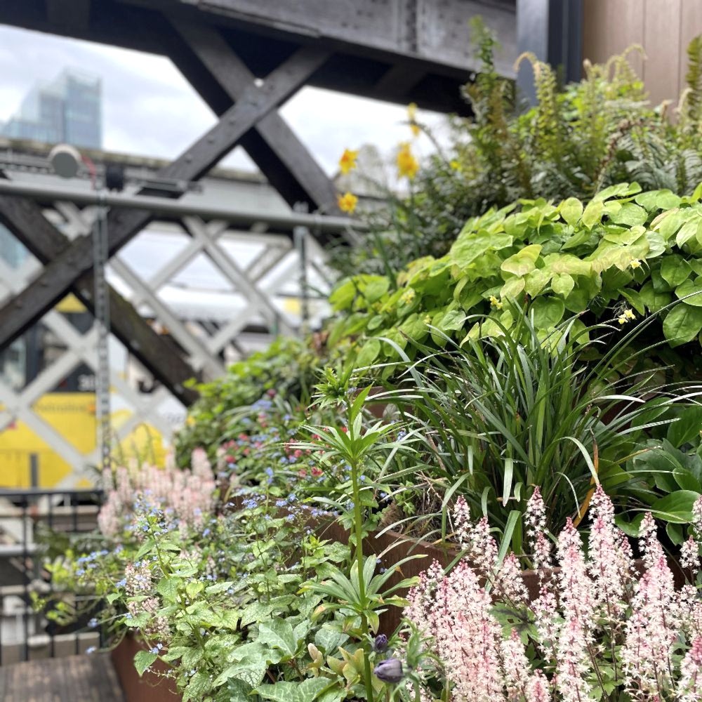 Photograph shows an array of flowers and other plants growing on a 330-metre stretch of steel overpass, along which goods were transported during the height of industrial Manchester. The Manchester skyline can just be seen behind the viaduct.