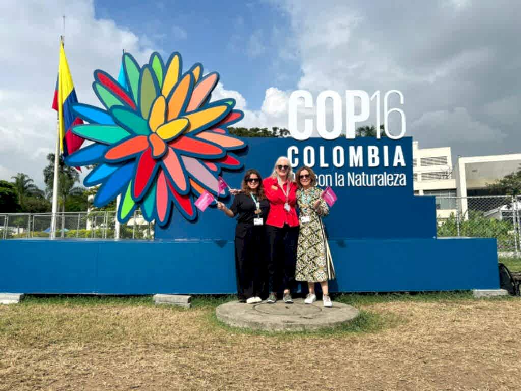 Global team at COP16 in Colombia