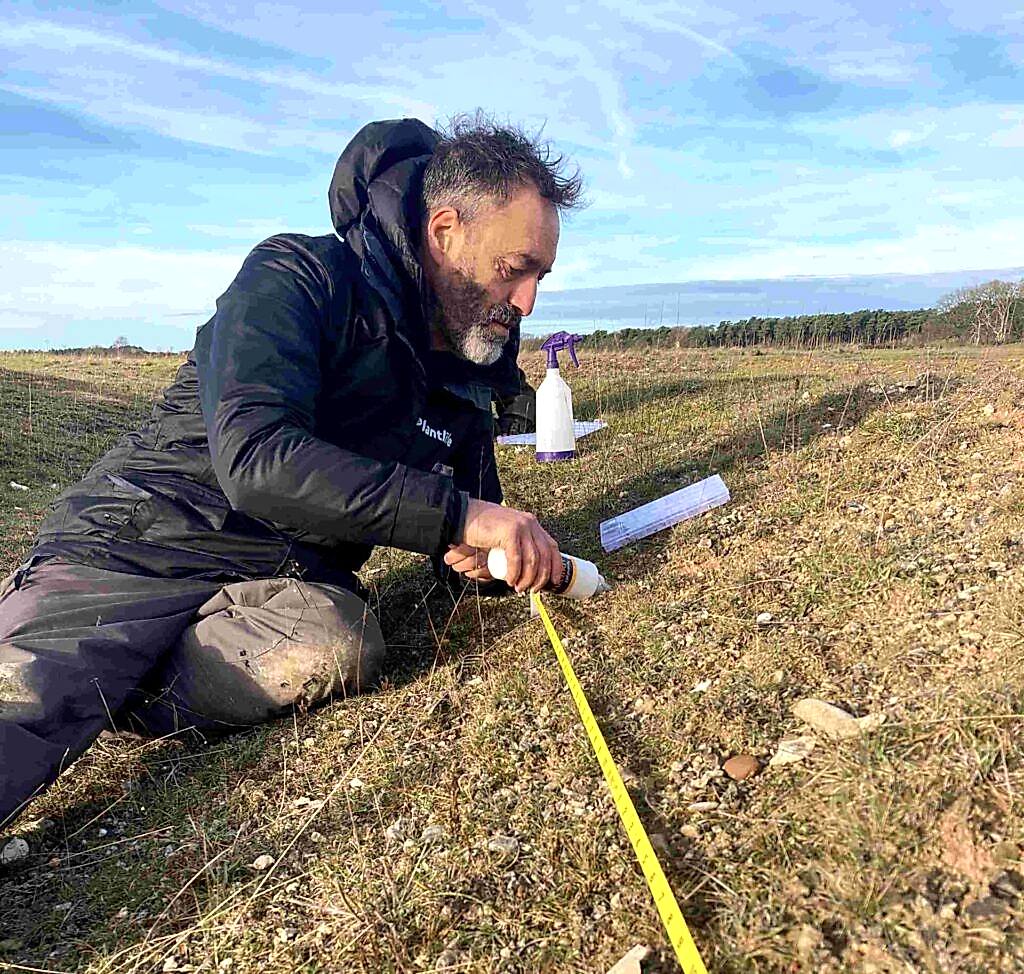 Dave Lamacraft translocating Scrambled Egg Lichen in Norfolk