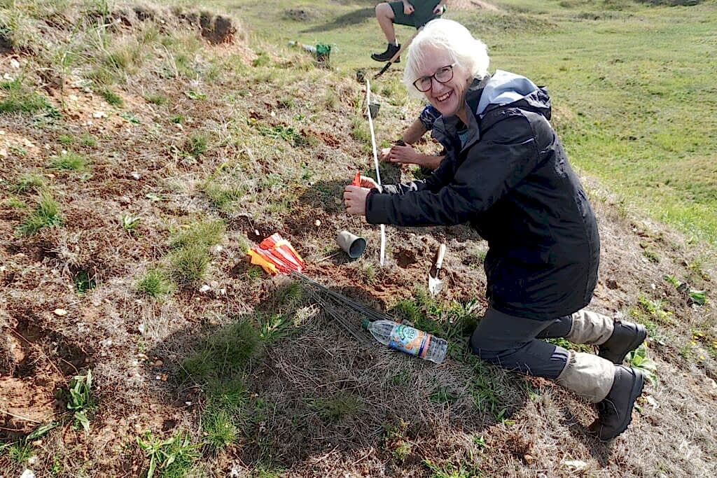 Woman planting on a hill