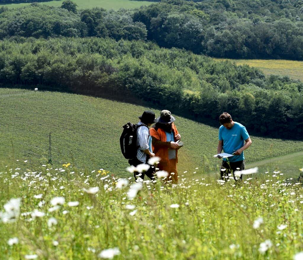 Photo shows three people talking in the distance in a meadow. The grass is long around them and the meadow is filled with wildflowers.