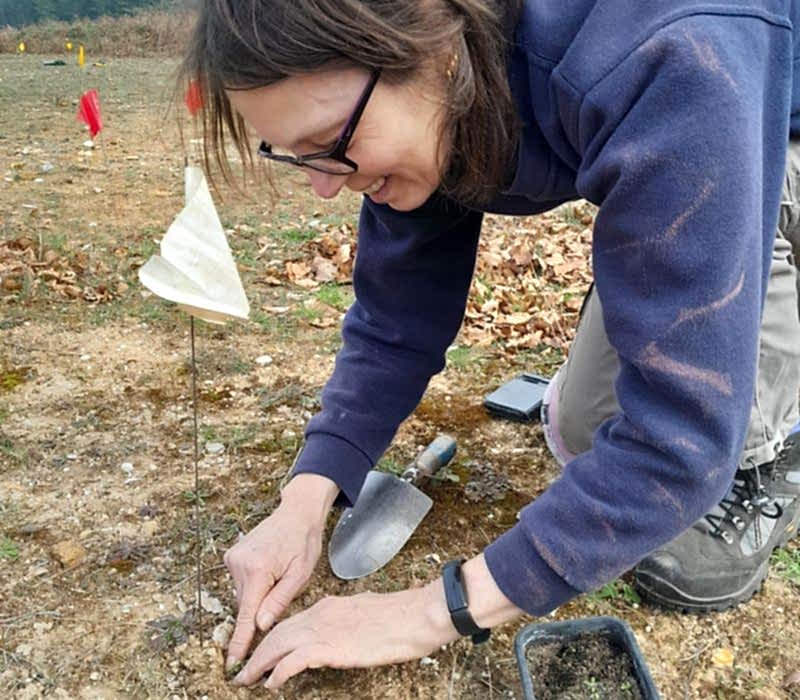 Person wearing glasses planting with hands on the ground and trowel on the side