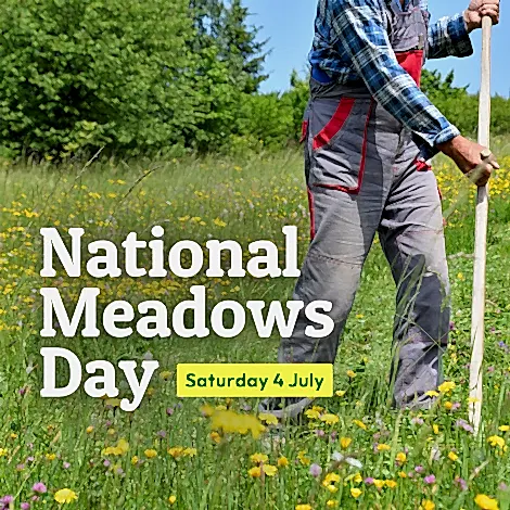 A person using a scythe in a meadow with wildflowers and grasses.