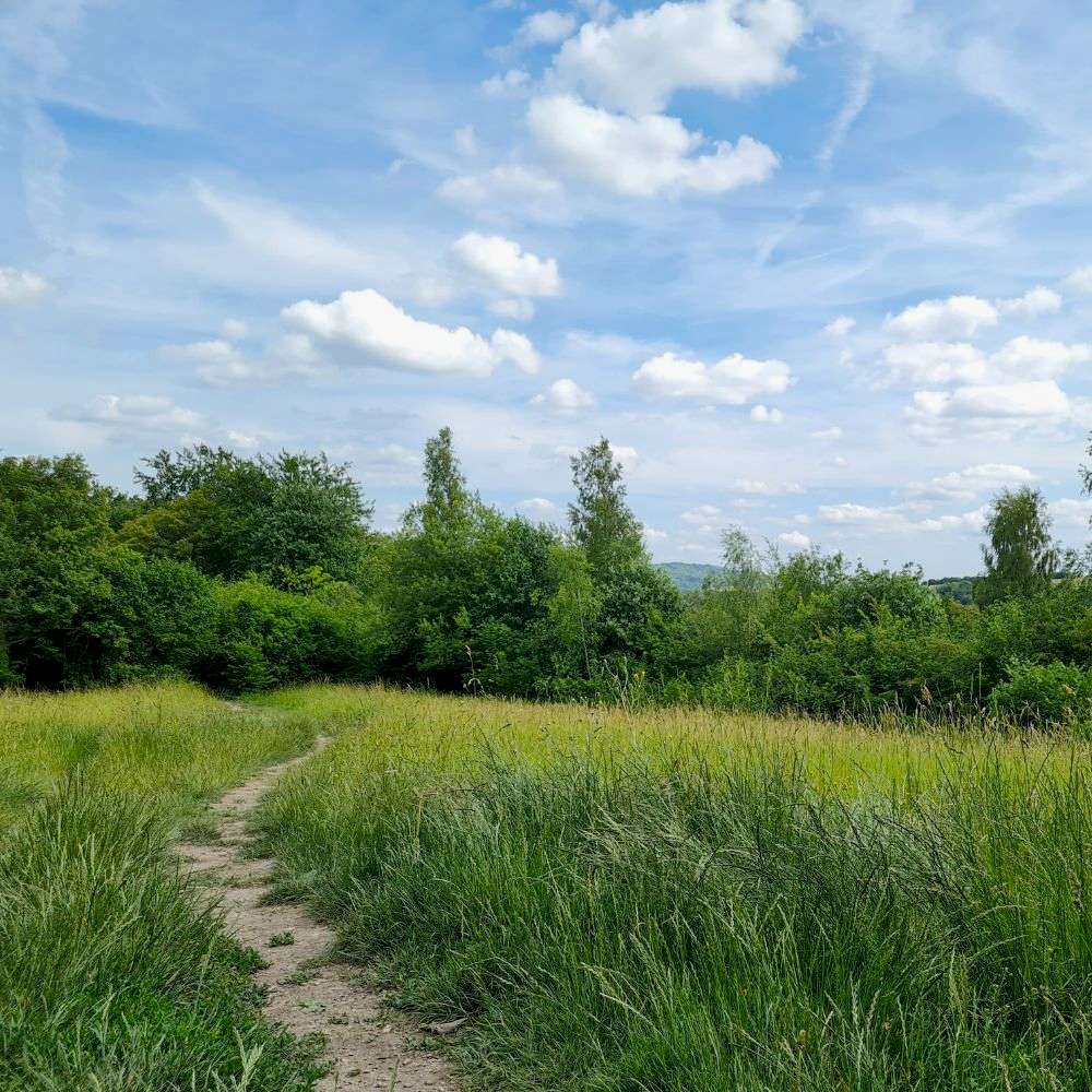 A small footpath trail winds across the Ranscombe Farm Nature Reserve