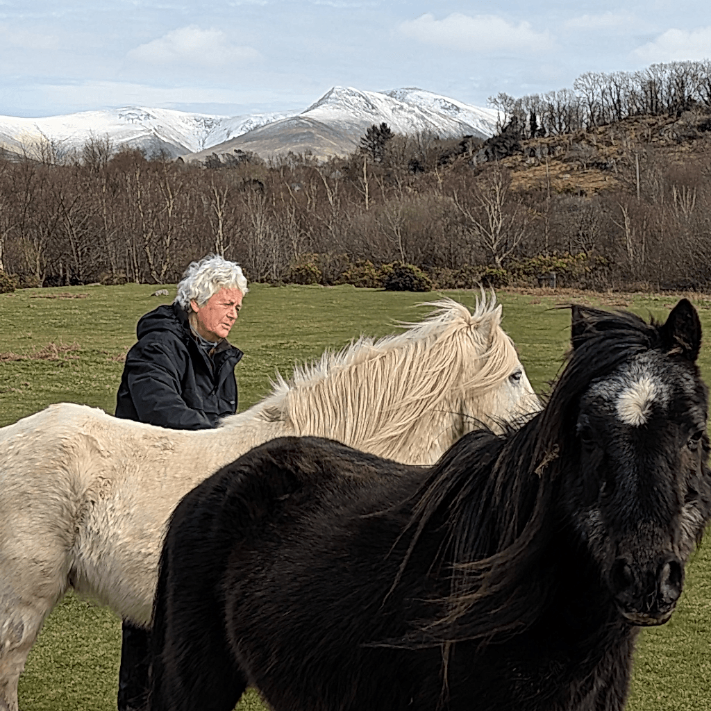 A woman stands next to two ponies in a grassland - there are snow-covered mountains in the background